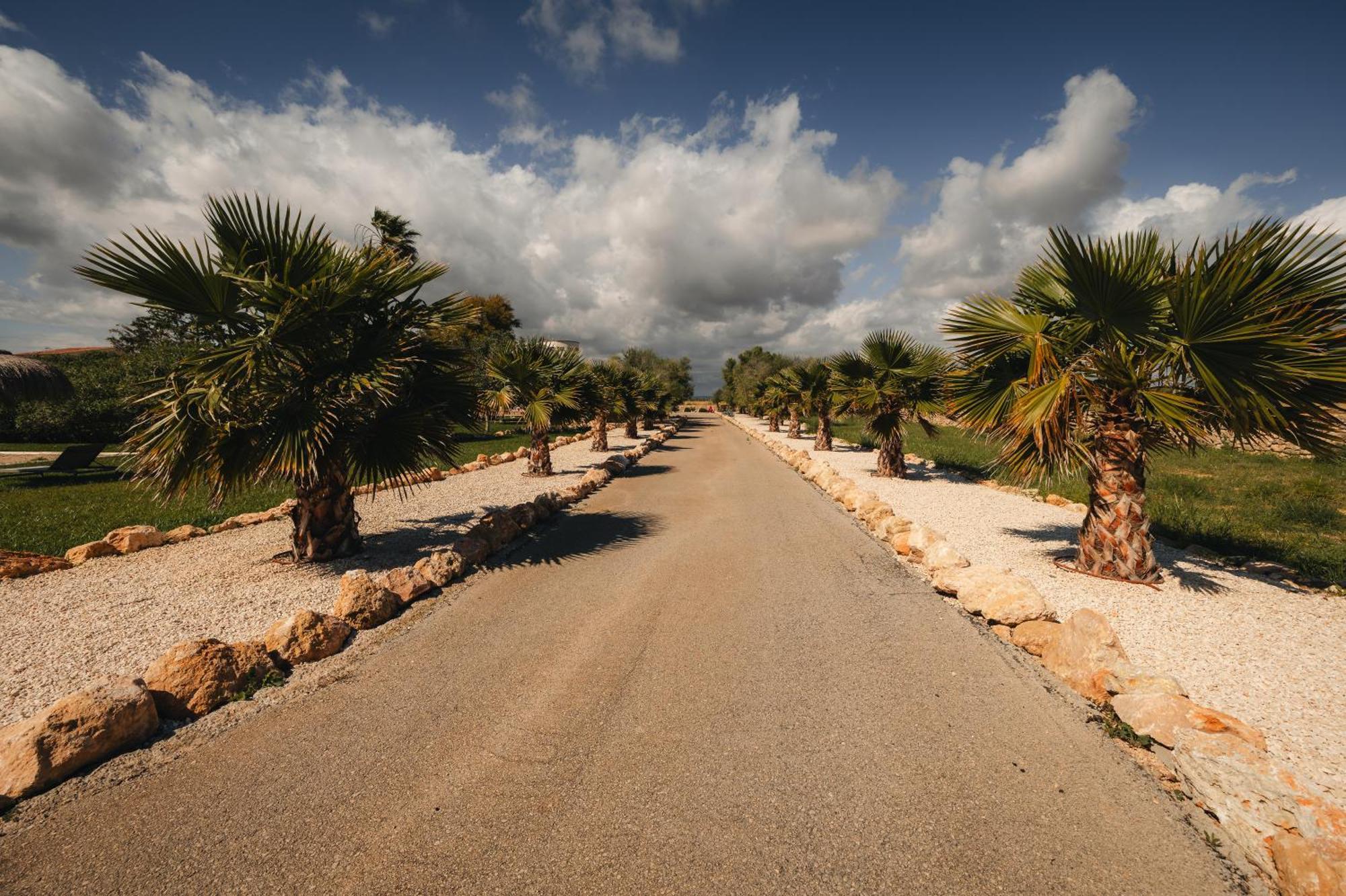 Traumhafte Finca am Es Trenc Ses Covetes Exterior foto